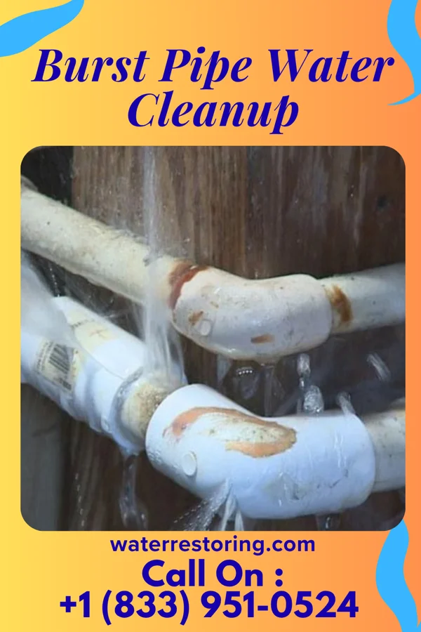 Burst Pipe Water Cleanup in Carleton, MI