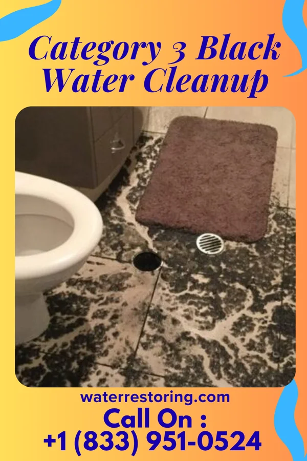 Category 3 Black Water Cleanup in Carleton, MI