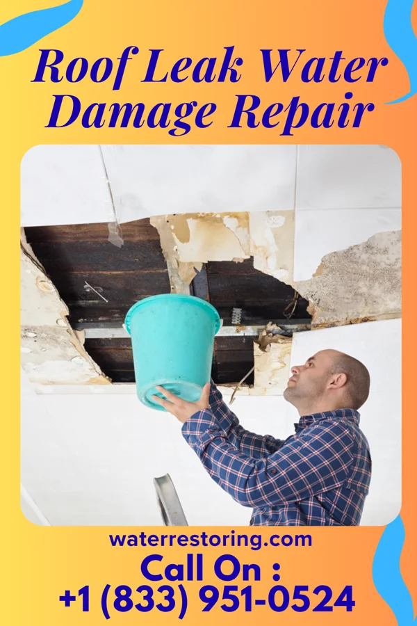 Roof Leak Water Damage Repair in Carleton, MI