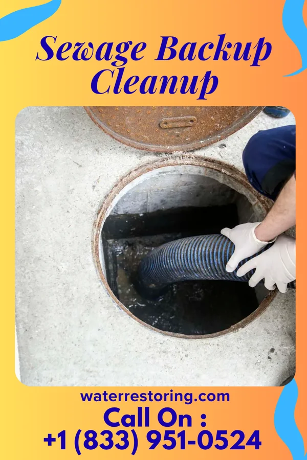 Sewage Backup Cleanup in Carleton, MI